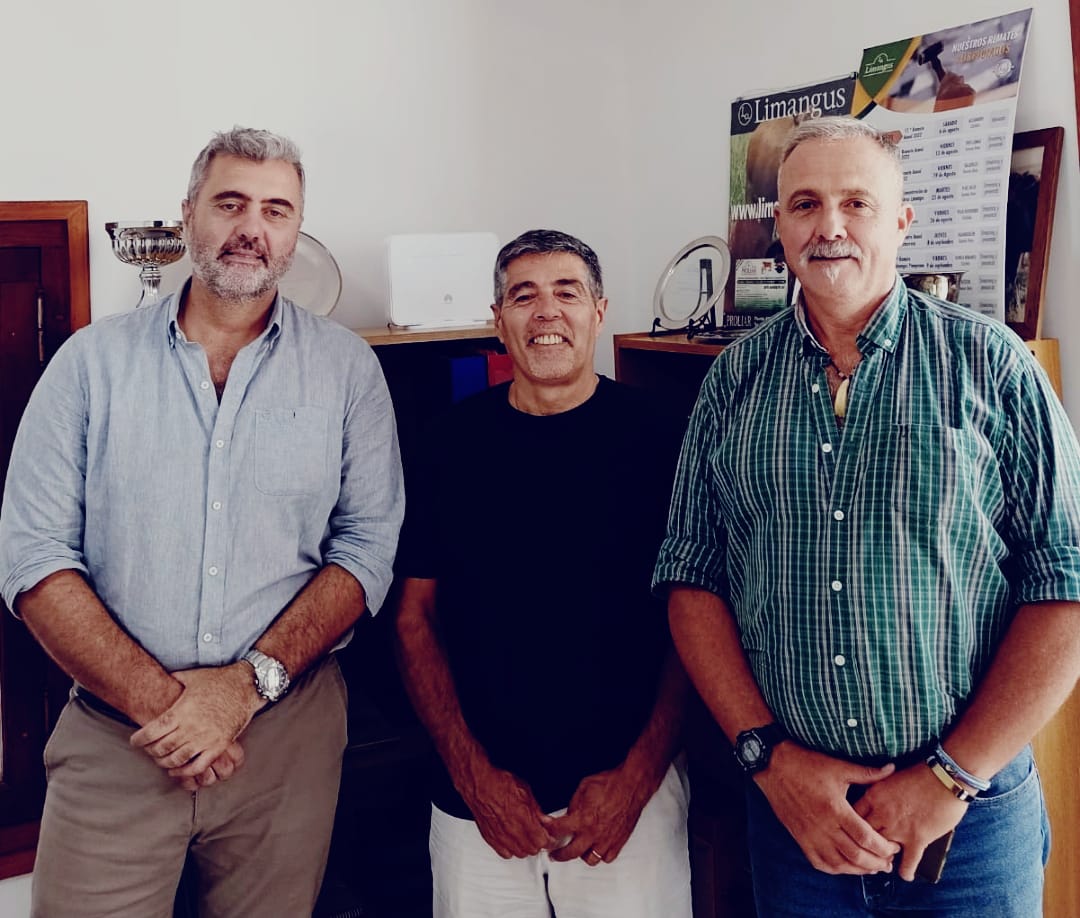 Con un crecimiento exponencial, Limangus se incorpora a la exposiciÃ³n 
